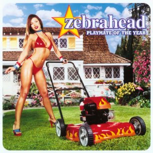 Paroles de chansons et pochette de l'album Playmate of the year de Zebrahead