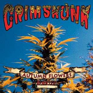 Paroles de chansons et pochette de l'album Autumn flowers de Grimskunk